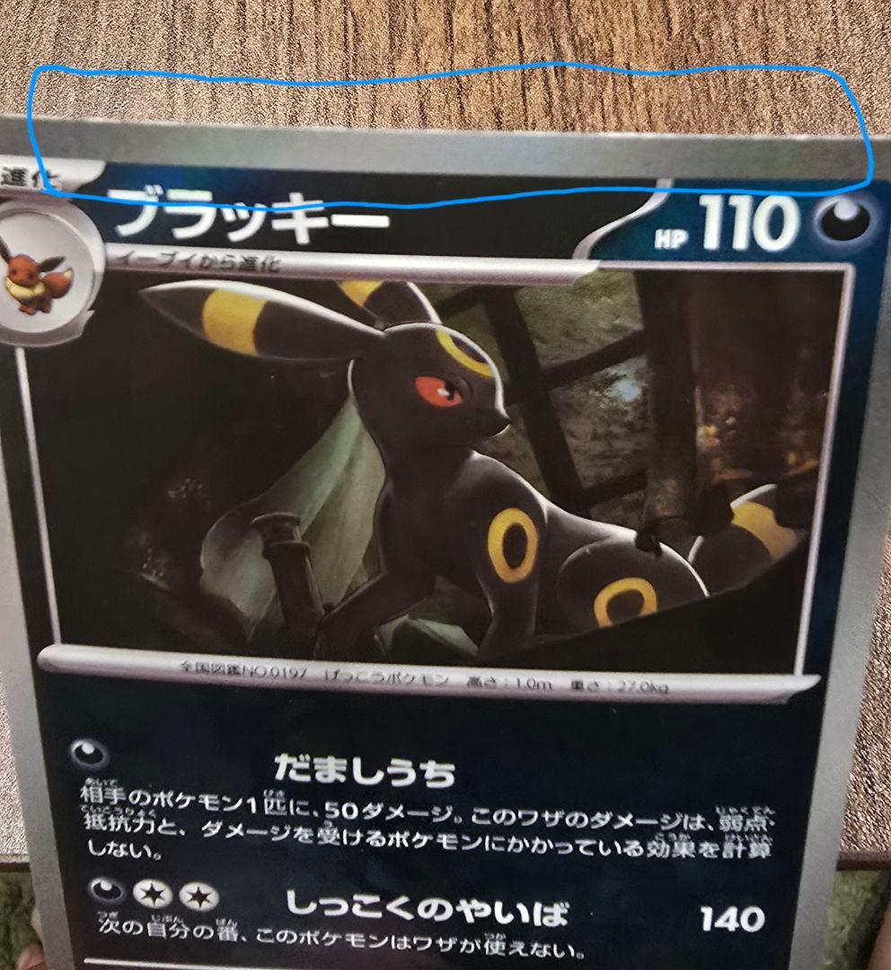 ブラッキー 　マスターボール【土日限定値下げ中】