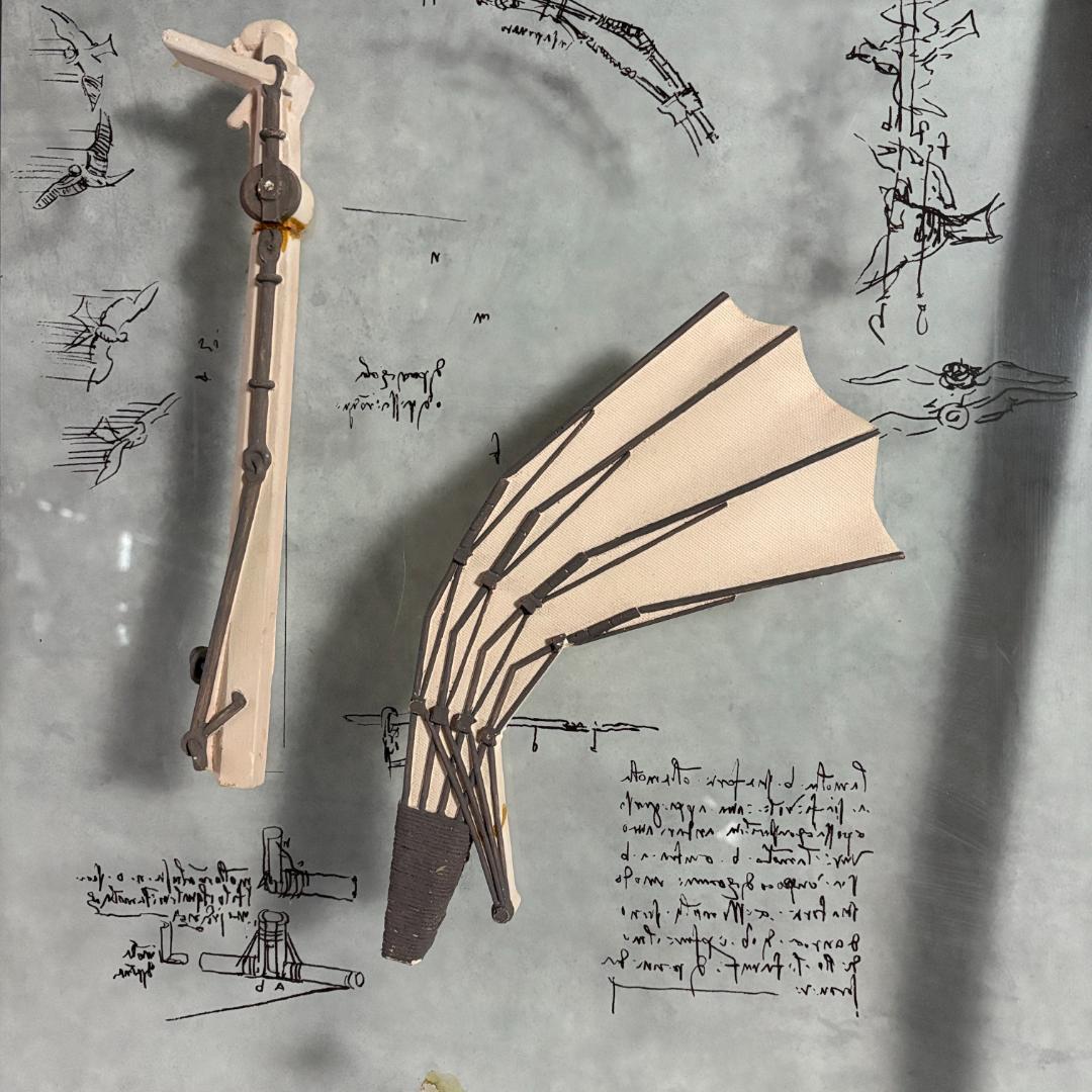 レオナルド・ダ・ヴィンチ 飛行機械模型 額装アート