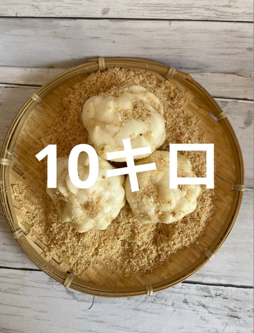 北海道十勝産 規格外 ゆり根10キロ