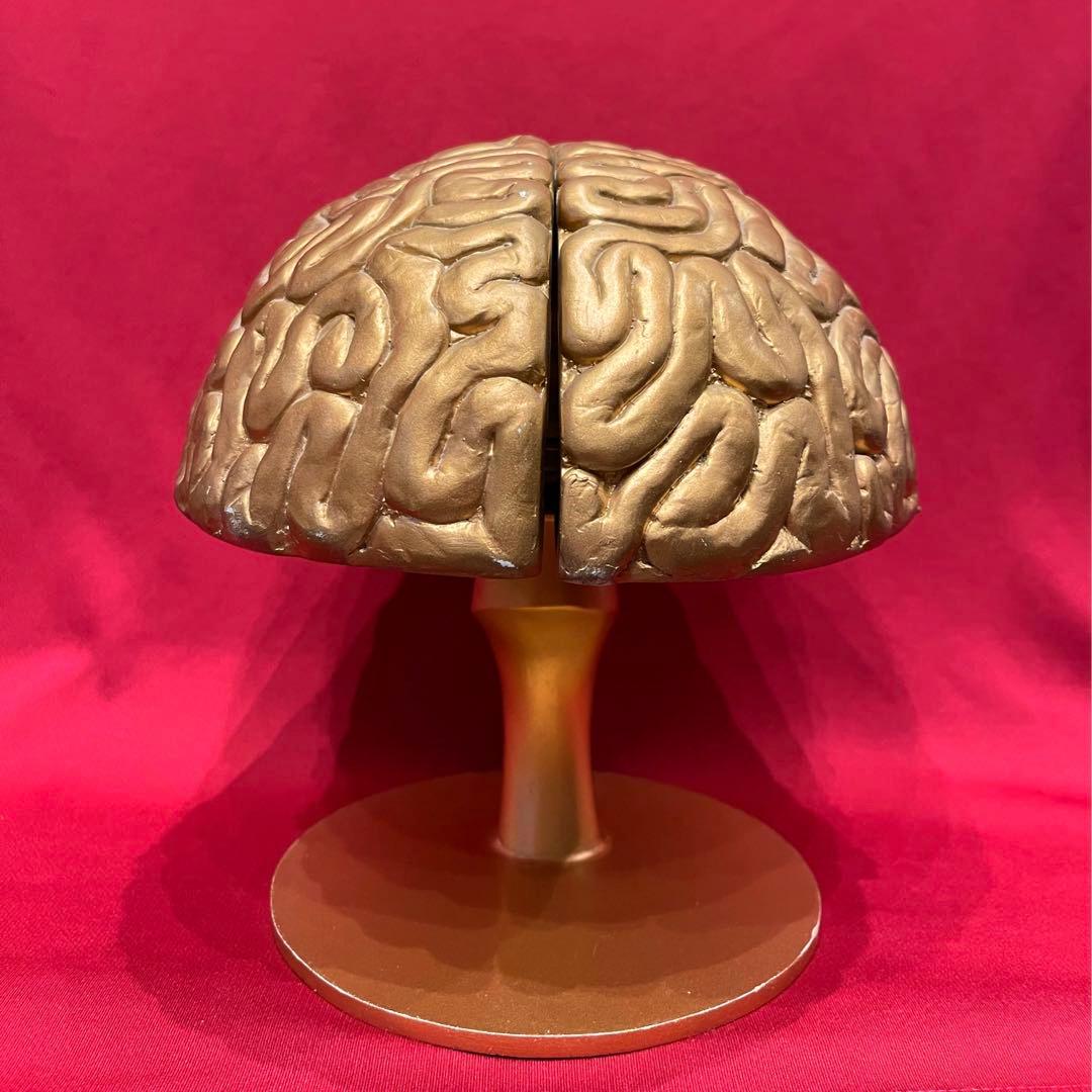 【本物】トリビアの泉 金の脳 へぇ タモリ 八嶋智人 高橋克実