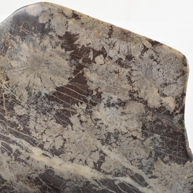 鑑賞石　天然石　菊花石　置物　重さ約627ｇ　唐木台付　C　6297