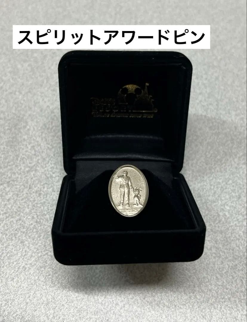 未使用　ディズニー スピリット・アワードピン