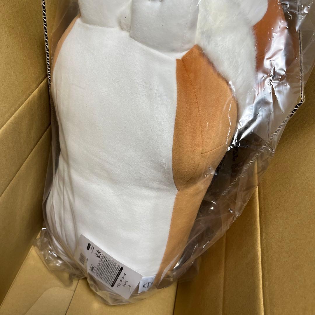 ヨルシカ コーギー ぬいぐるみ suisデザイン 前世 完全受注生産