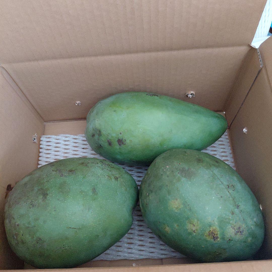 追熟型　キーツとキンコウ