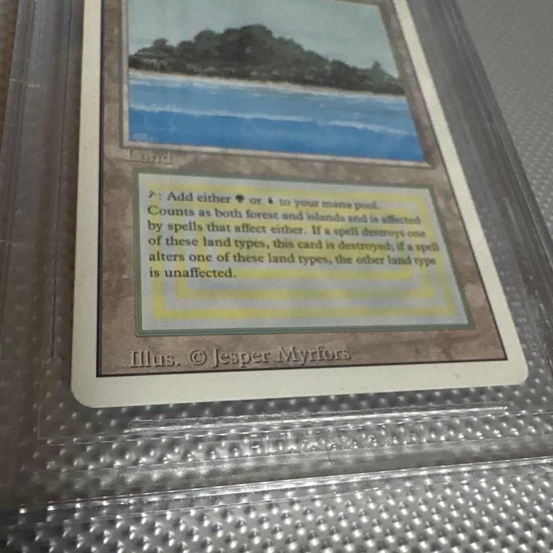 【鑑定品】tropical  トロピカルアイランド　リバイズド