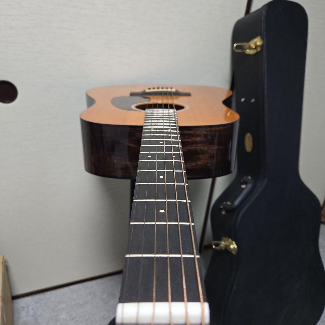 Martin Guitar DRSG マーティン アコースティックギター