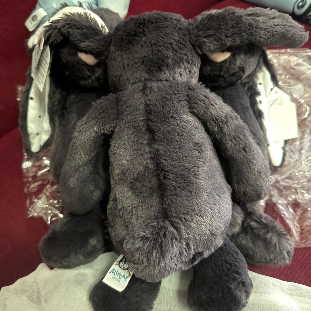  ウサギ　 Mサイズ　ジェリーキャット