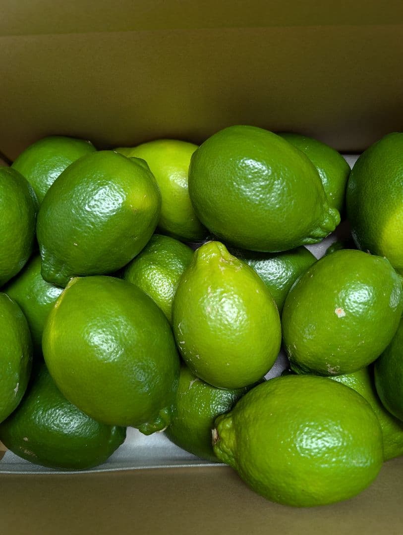 ☆Barbie☆　　璃の香レモン