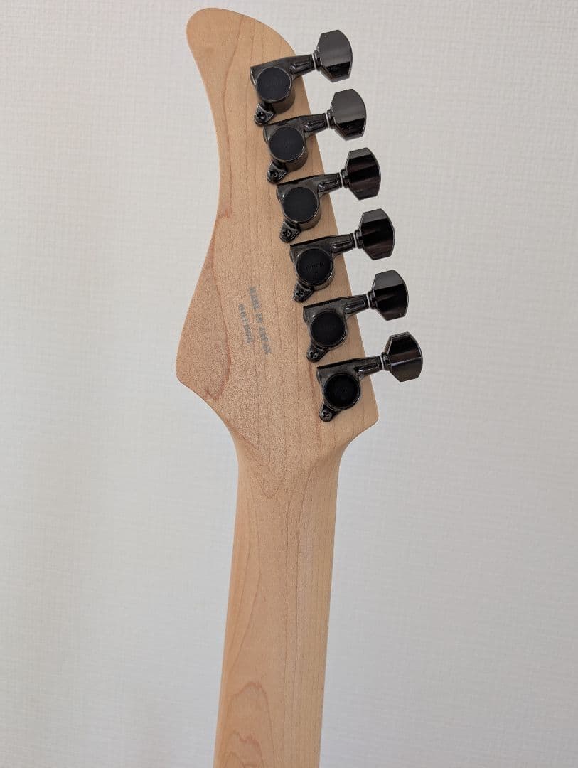 美品　Fernandes FR-DLX JPC サステイナー 2011年