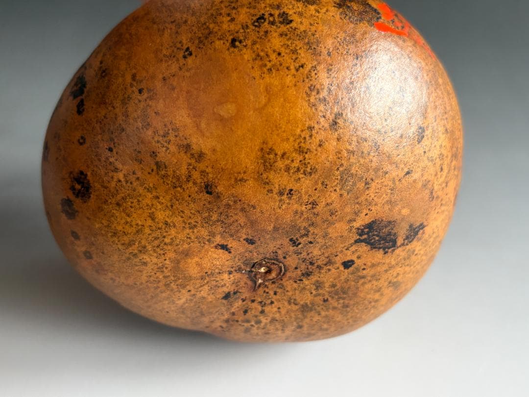 瓢花入利休写　朴堂老師　銘「庵の友」