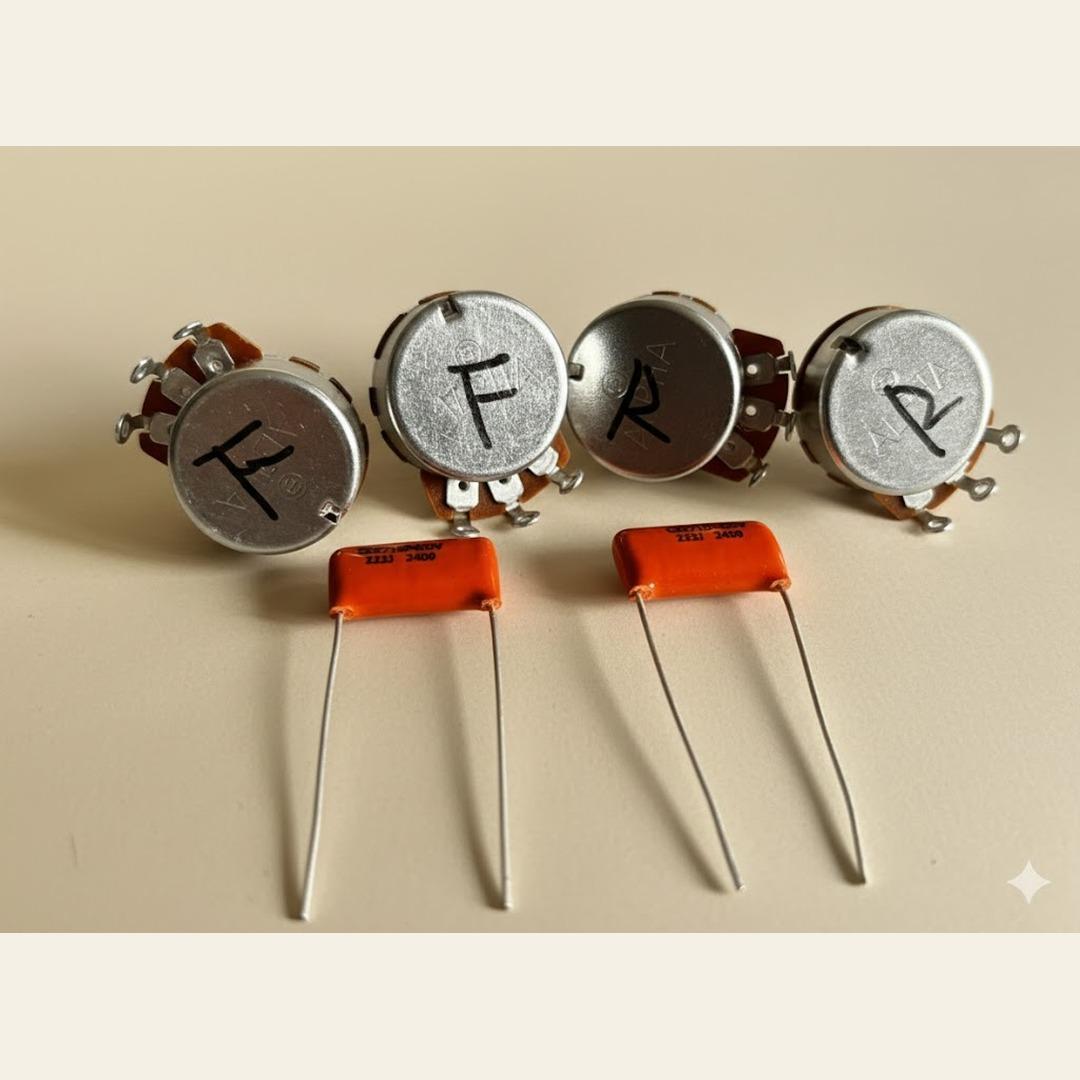 “Zakk Wyldeスタイル” カモフラージュ仕様 電装フルリフレッシュ済