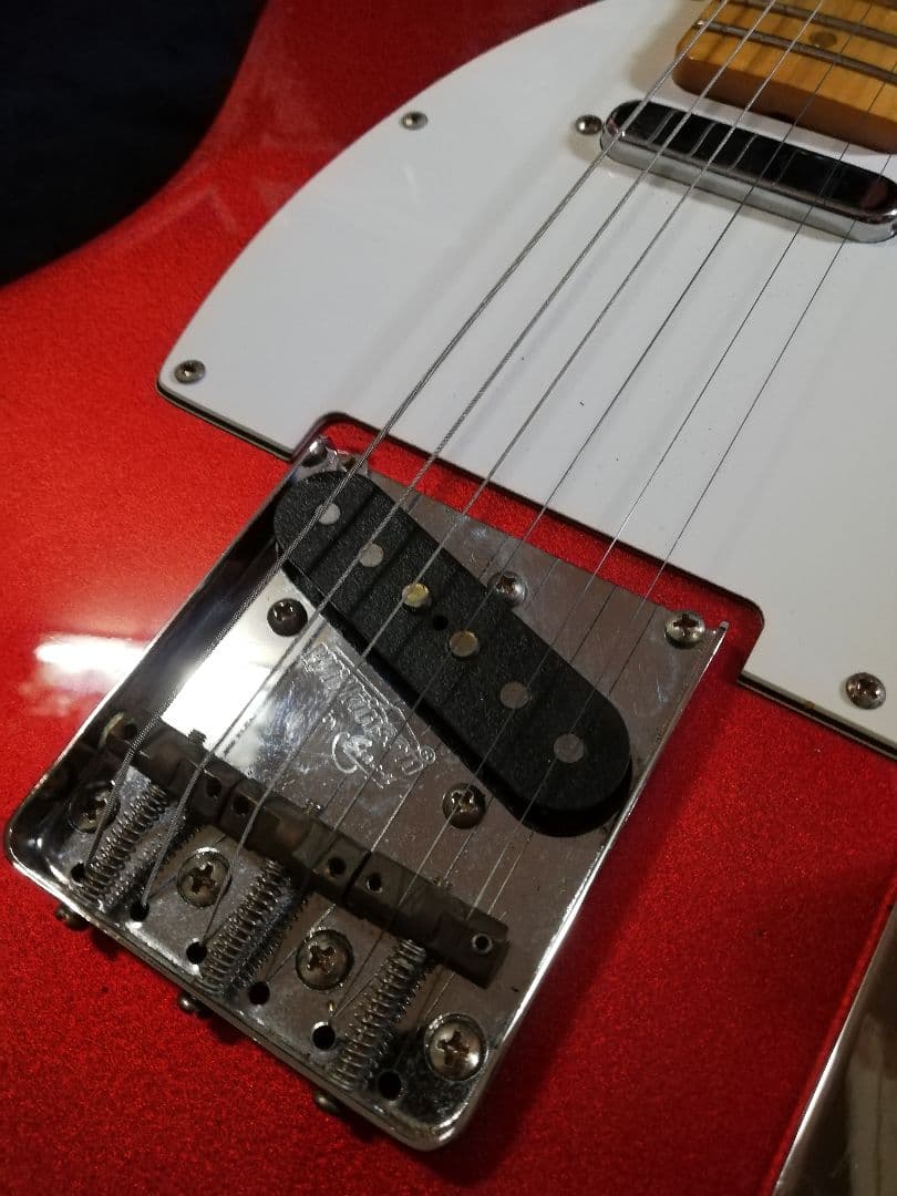 テレキャスタータイプ Duncan STR-1 & STL-1バーズアイ