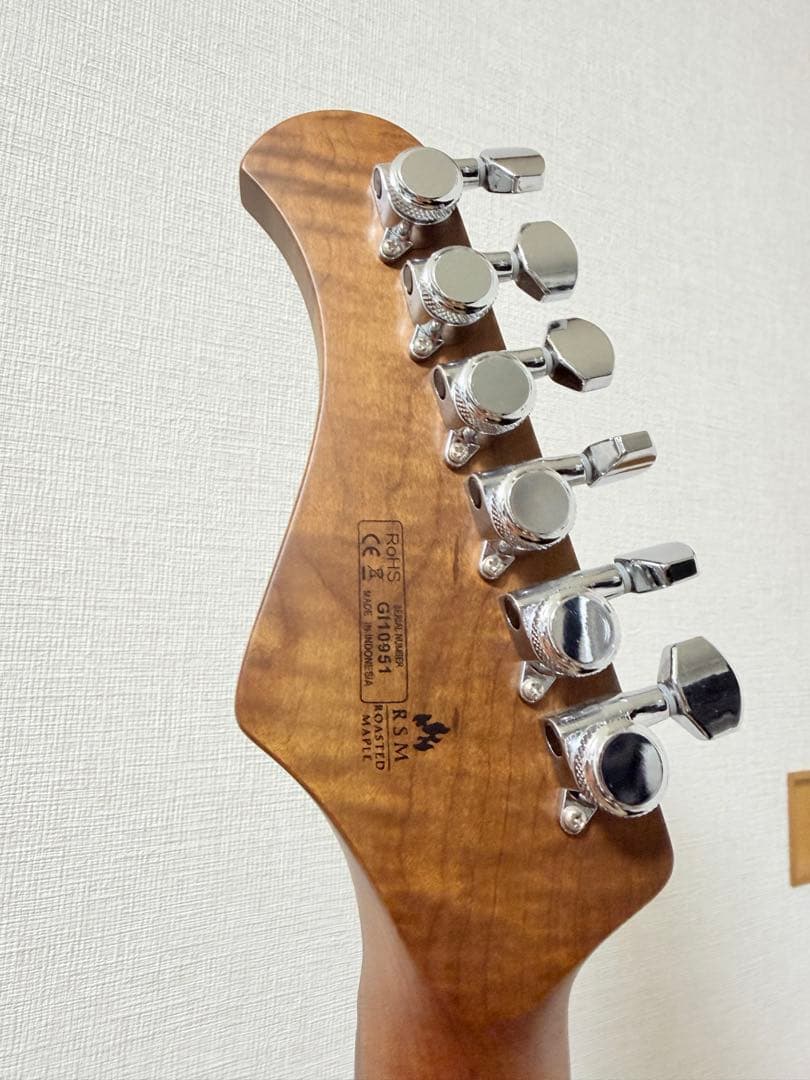 ギター Bacchus BSH-900ASH/RSM