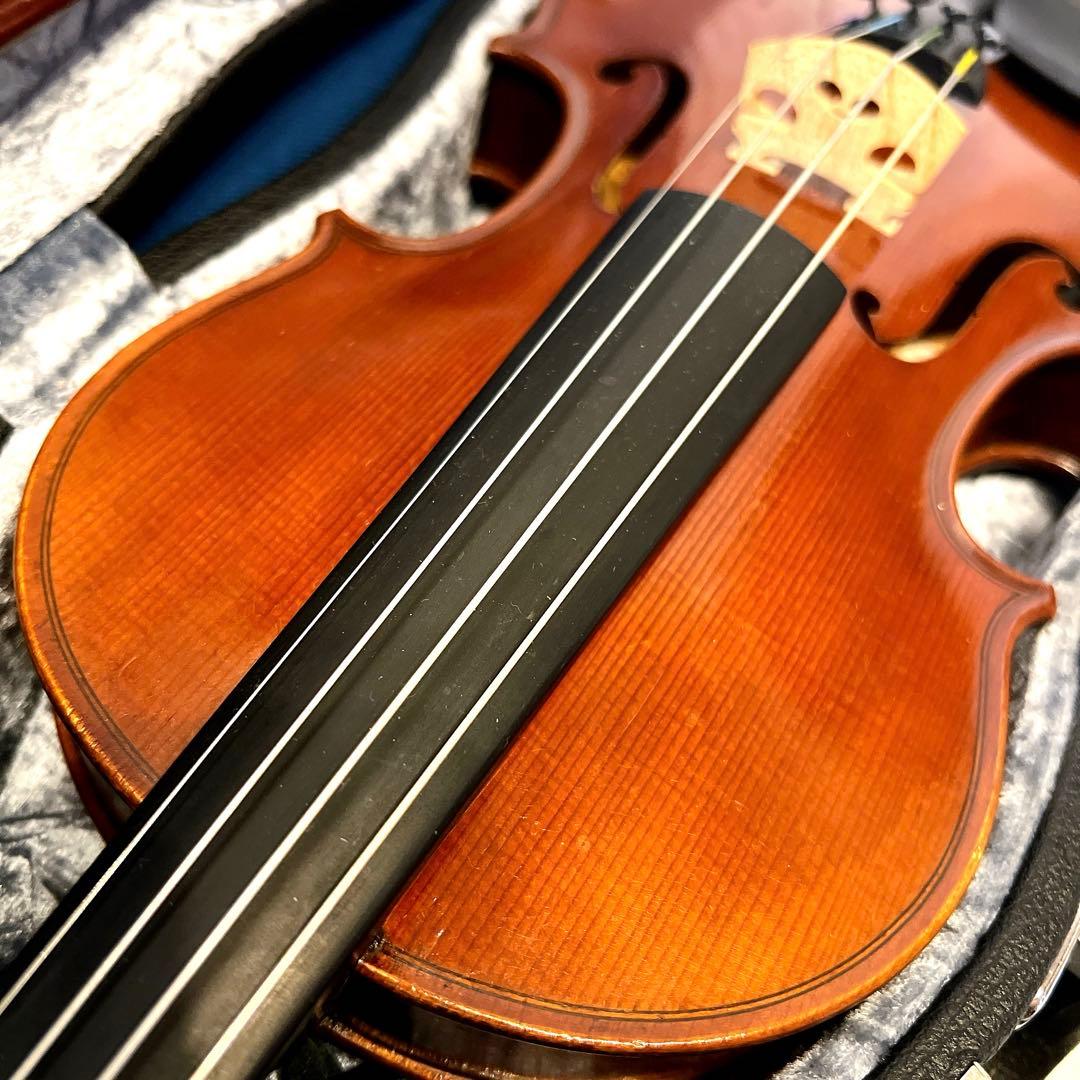 【希少美品】Pygmalius ピグマリウス　Bambino 1/2 バンビーノ