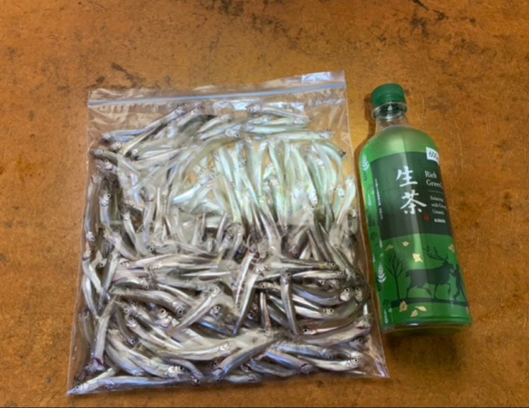 ワカサギ穂先　ステンレス　２本