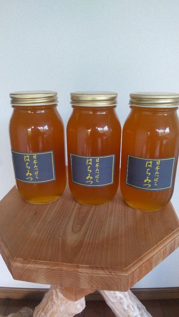 日本ミツバチの百花蜜　1000ｇ３本