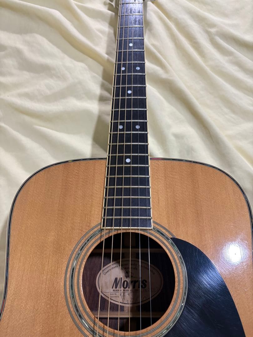 Morris WE-40 CP3搭載エレアコギター