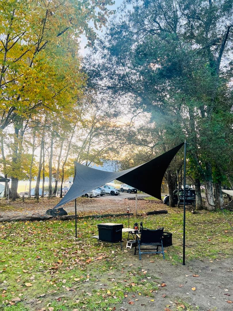 telo looksブラック