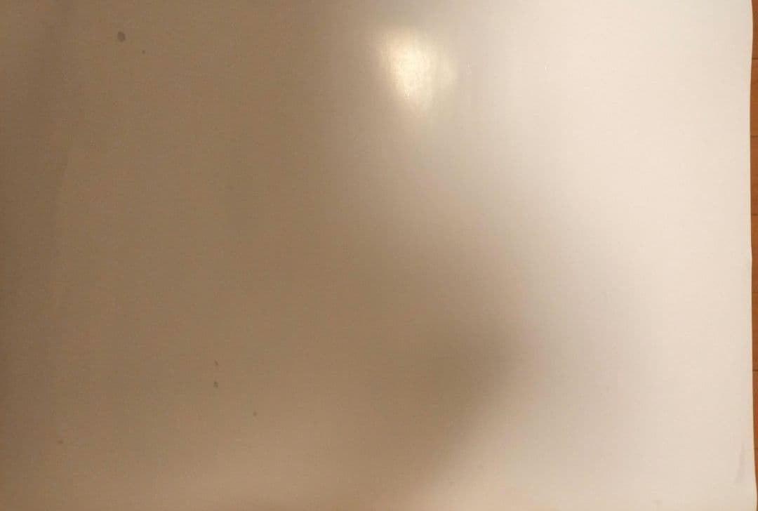 佐野葉月ポスター