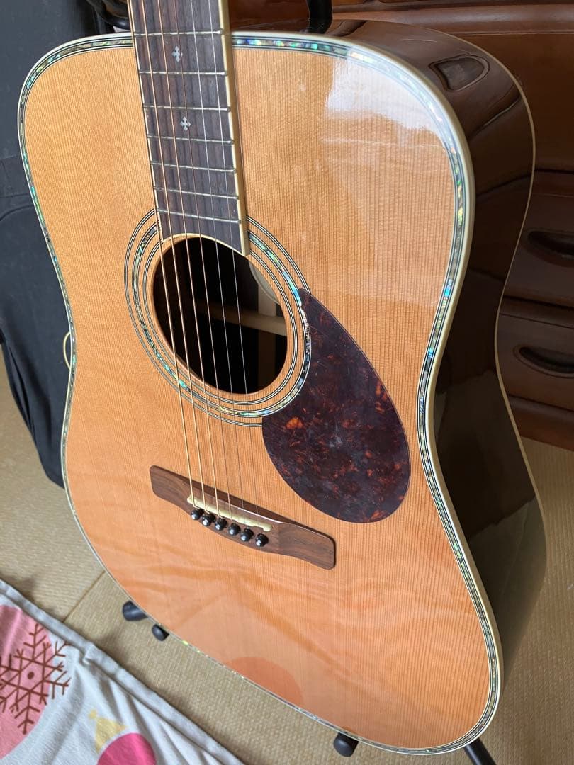 Greg Bennett グレッグ・ベネット　D-8