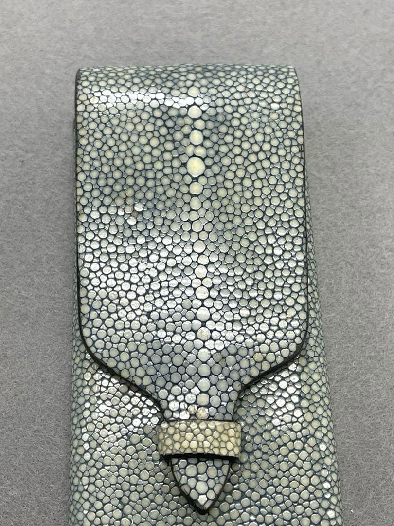 【希少素材•未使用】GANZO ガンゾ スティングレイ ガルーシャ　ペンケース