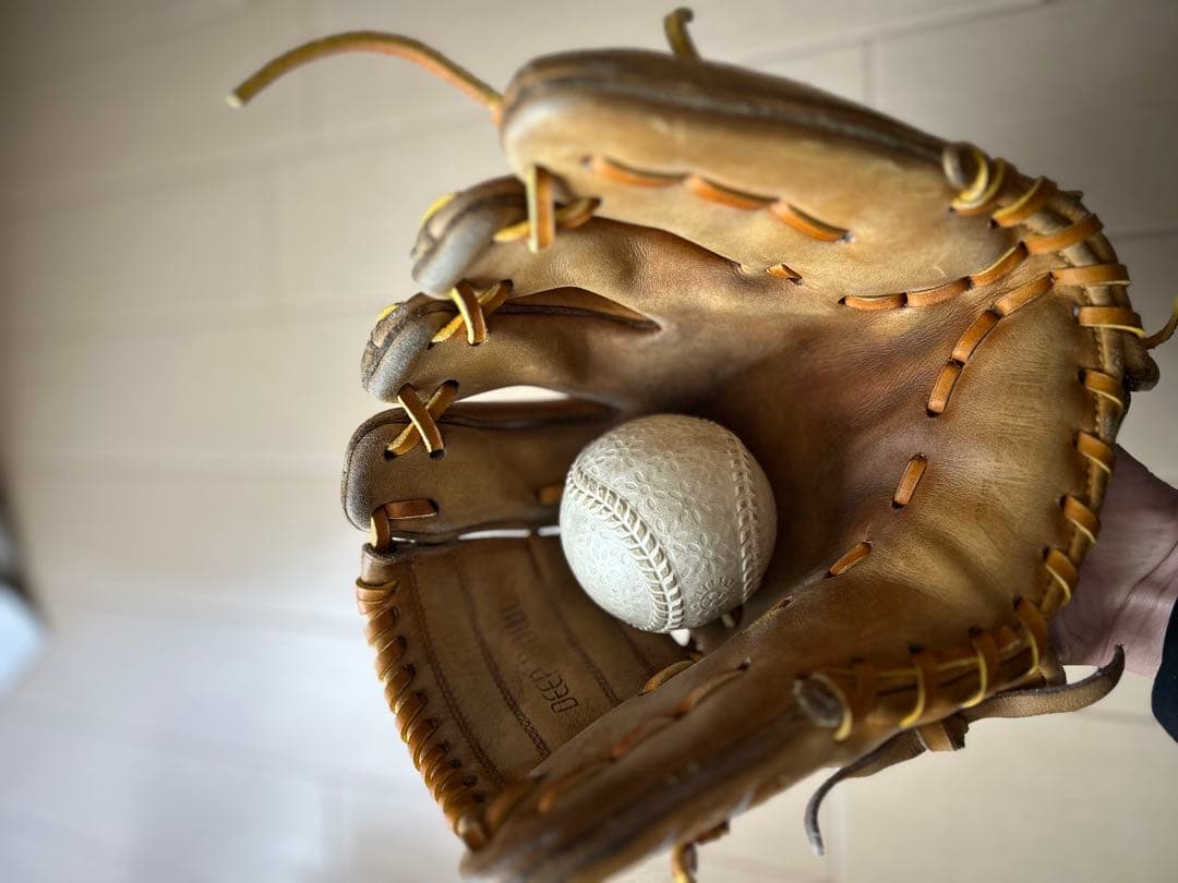 内野用グローブ　ミズノプロ　ビックM