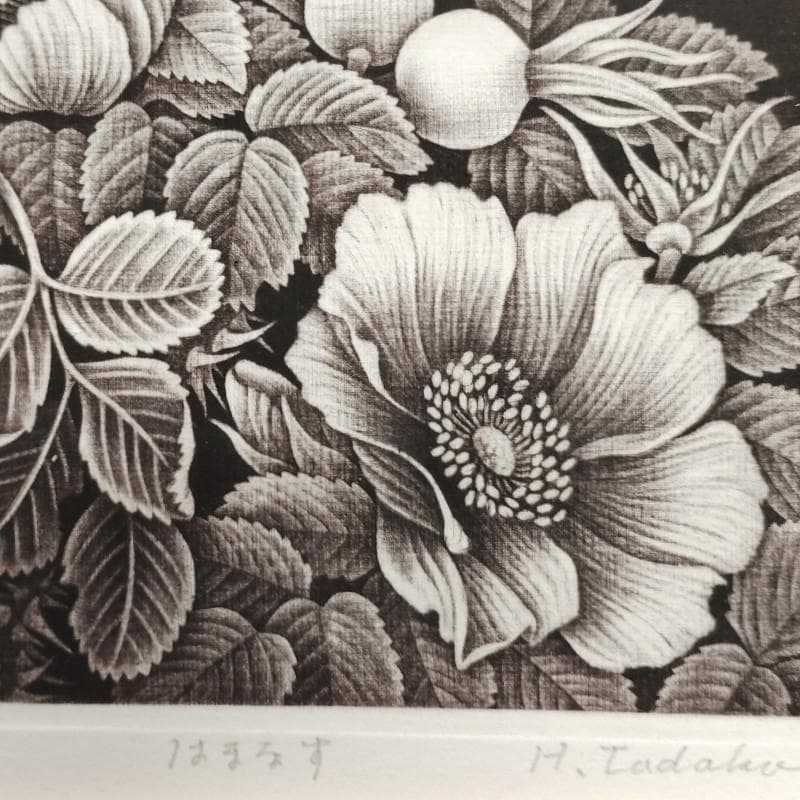 ☆林 董子☆「はまなす」銅版画　八ツサイズ　ED20/150　未使用！