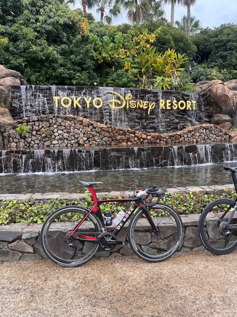 DE ROSA sk フレームセット　ジャンク