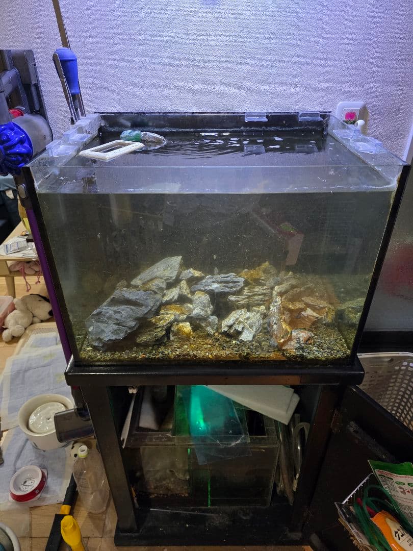 オーバーフロー水槽セット　マフィード