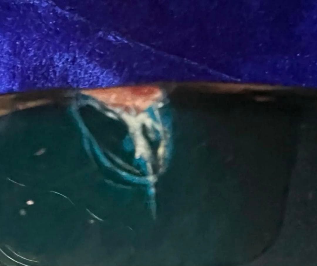 【ダンカン・サスティナー】フェルナンデス・RAVELLE ELITE-FT