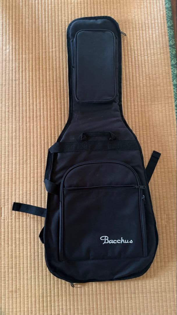 Bacchus SHG-ASH RSM エレキギター