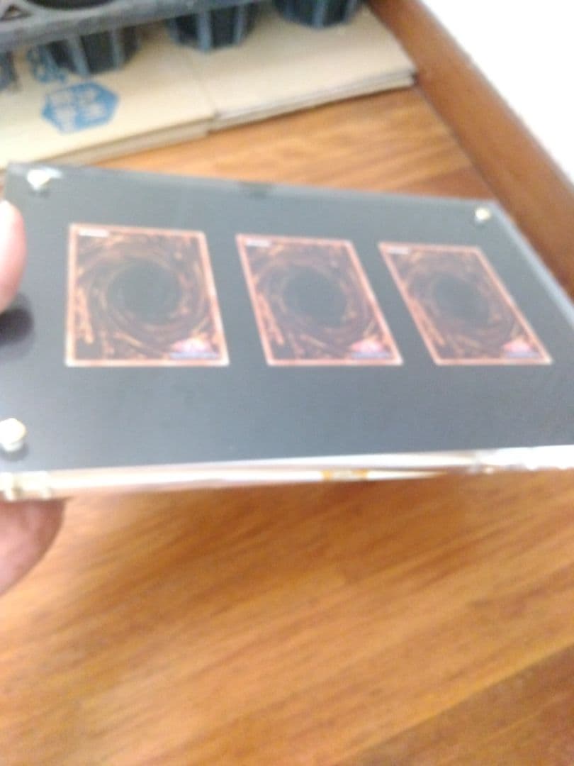 海馬セット　ブルーアイズ 青眼の白龍　シークレット　3枚　25th　シクブル