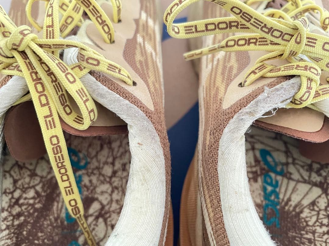 スパイク・シューズ Erdoreso x ASICS NOVABLAST 3 25.5cm