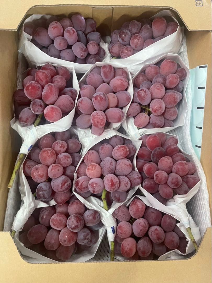 ⑥【岡山県産】富士の輝　10房 約5キロ