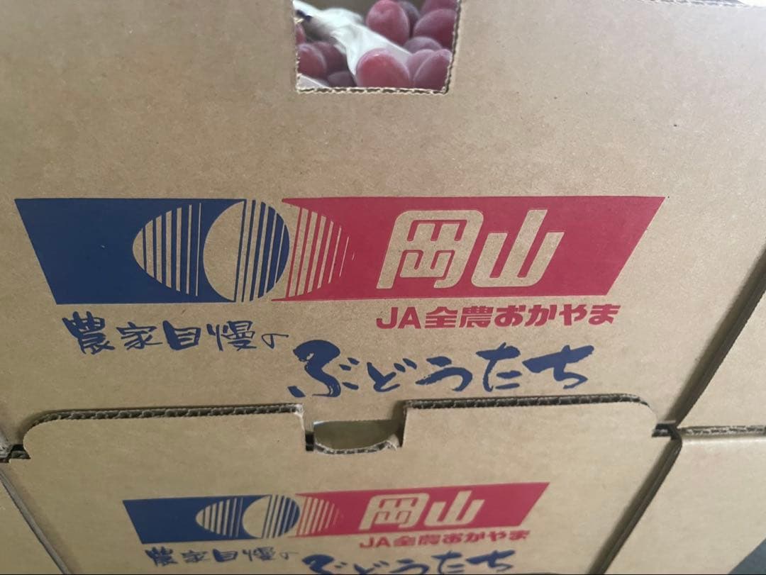 ⑥【岡山県産】富士の輝　10房 約5キロ