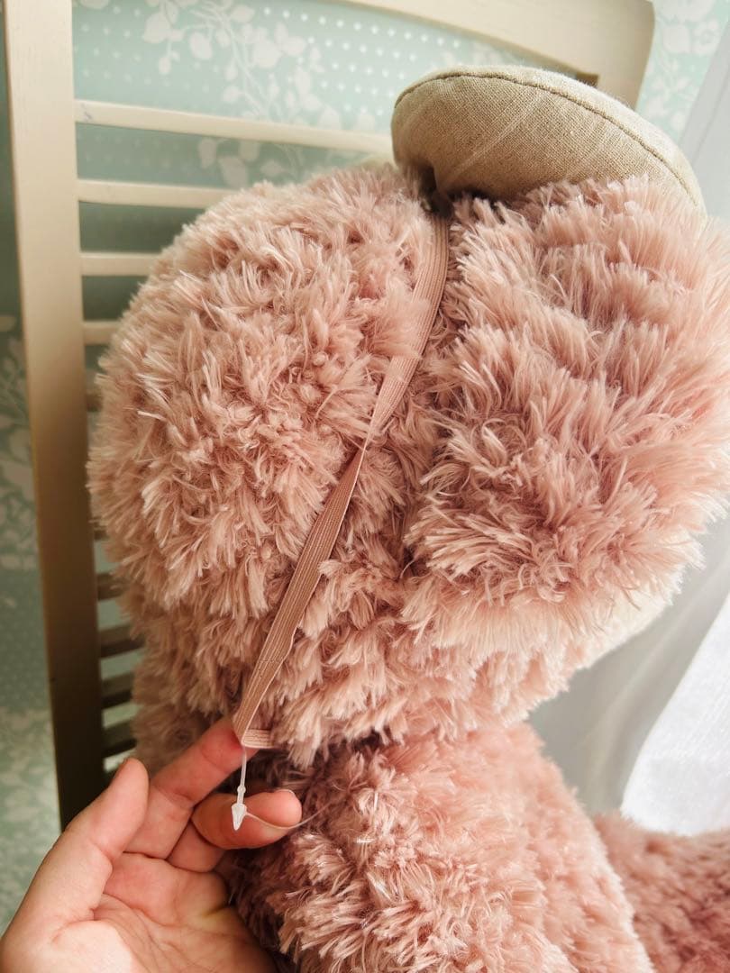 ダッフィ　シェリー　Disney Sea