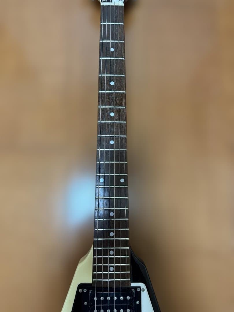 マイケルシェンカー フライングV EDWARDS E-FV-125WB DOT