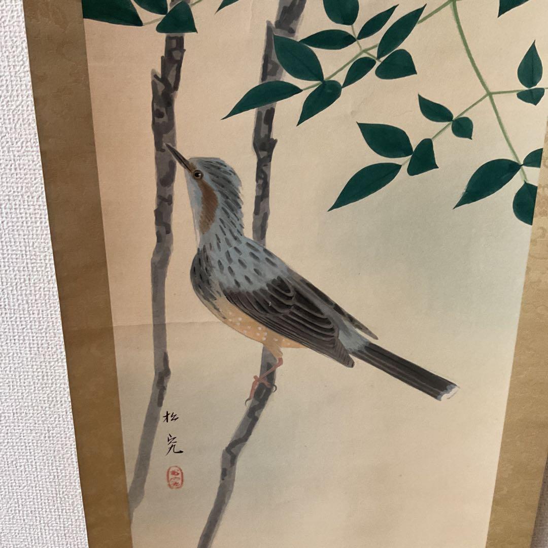 松究作 絹本彩色画 【 南天にヒヨドリ図 】 作者詳細不詳 自題共箱
