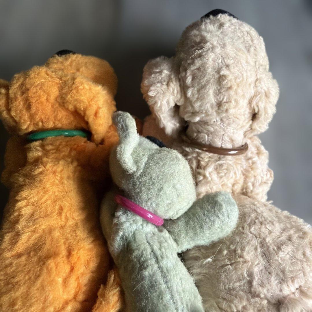 C OM O &R AYクタクタ犬レトロ子犬のルークセット売り⭐︎