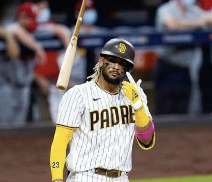 【MLB フェルナンドタティスJr】希少サイン入りルーキーカード