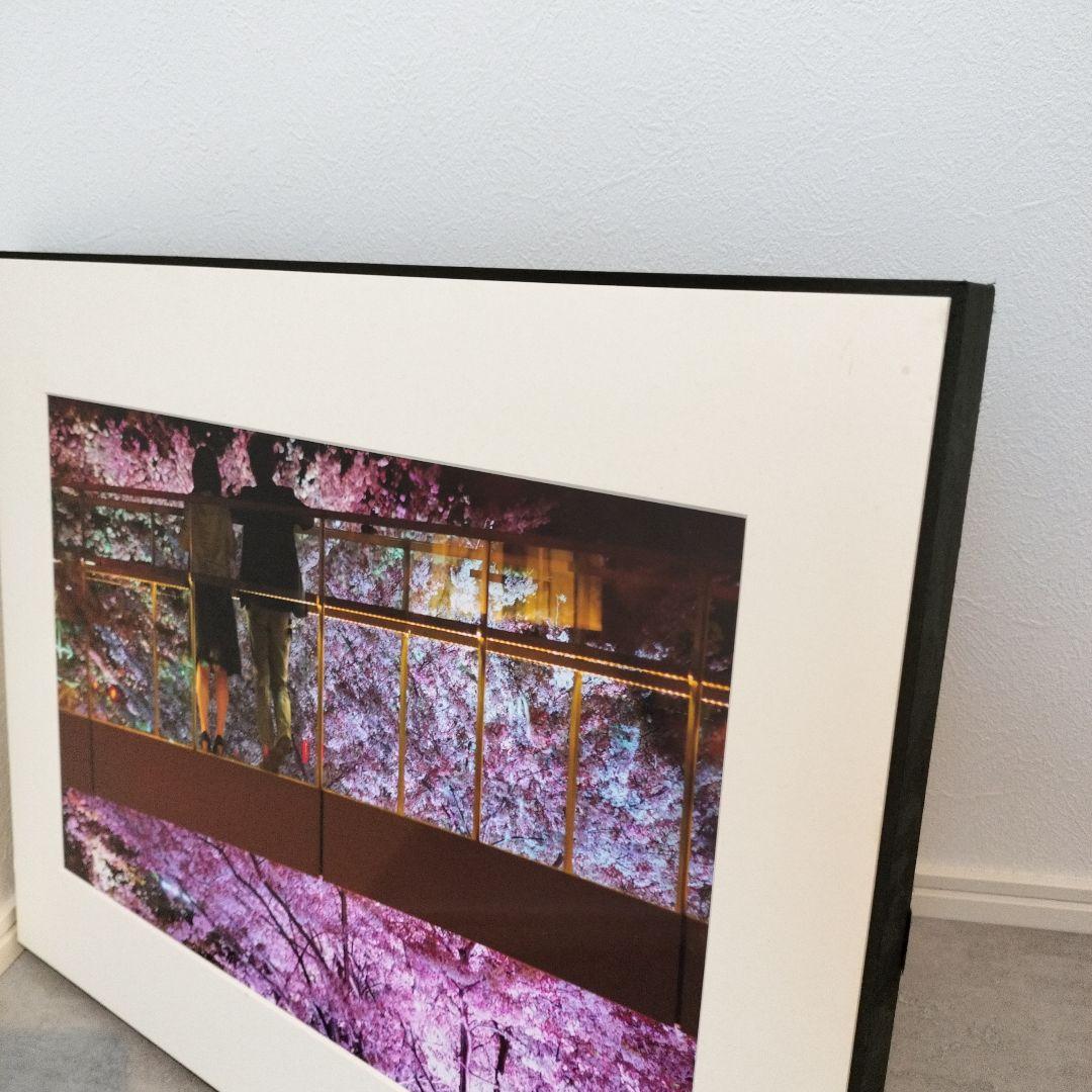 夜桜 写真作品 額装 アートパネル ピンク 紫 インテリア