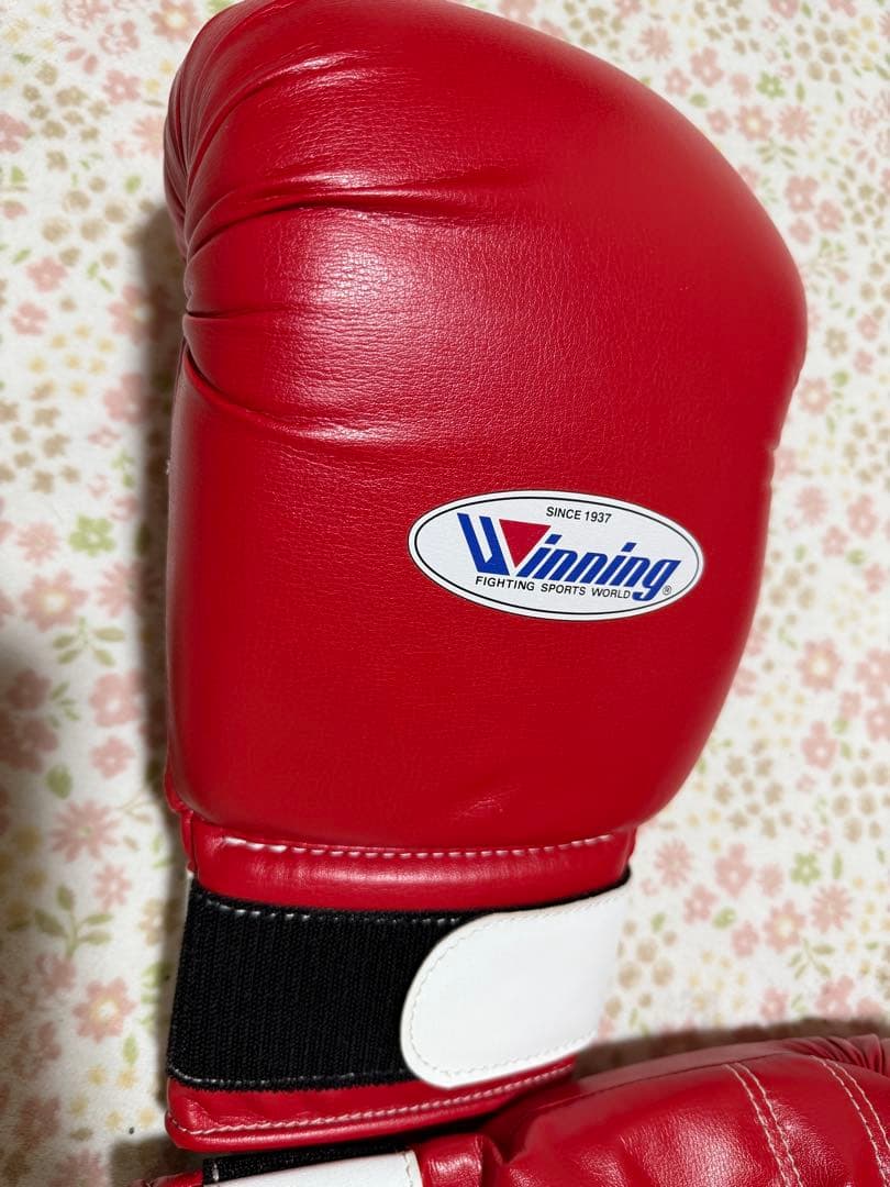 Winning アマチュア練習用ソフトグローブ　14オンス　レッド