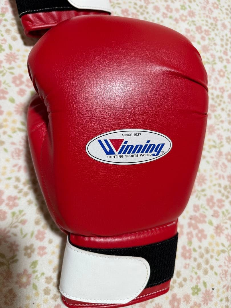 Winning アマチュア練習用ソフトグローブ　14オンス　レッド