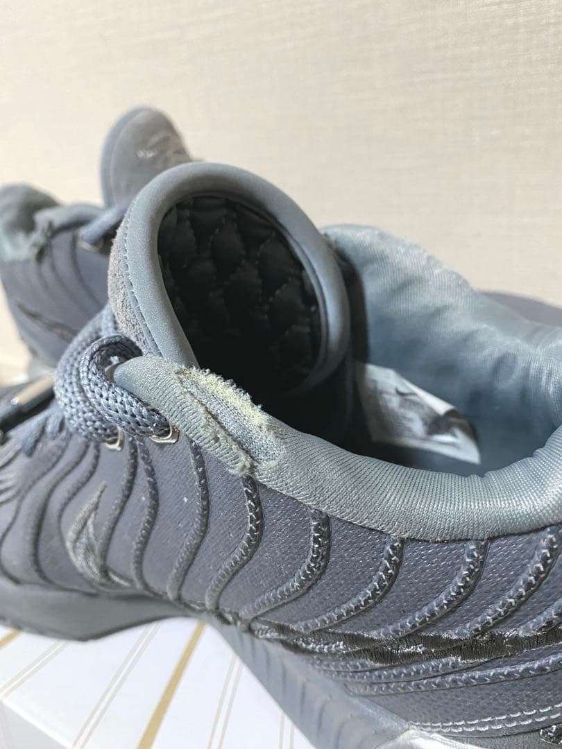 ナイキ　レブロン21 クールグレー　Nike Lebron 21