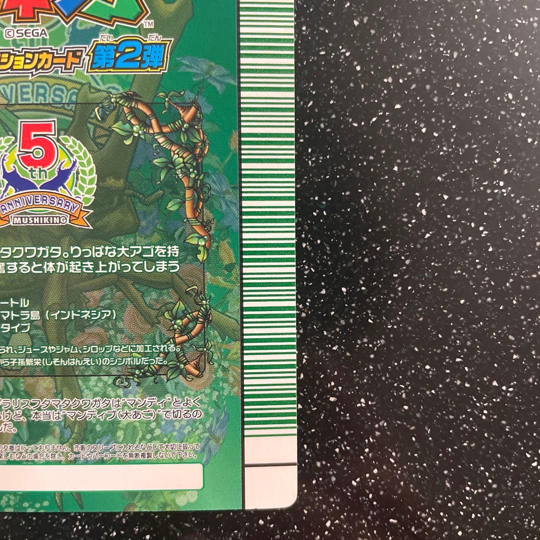 ムシキング5周年 マンディブラリスフタマタクワガタ