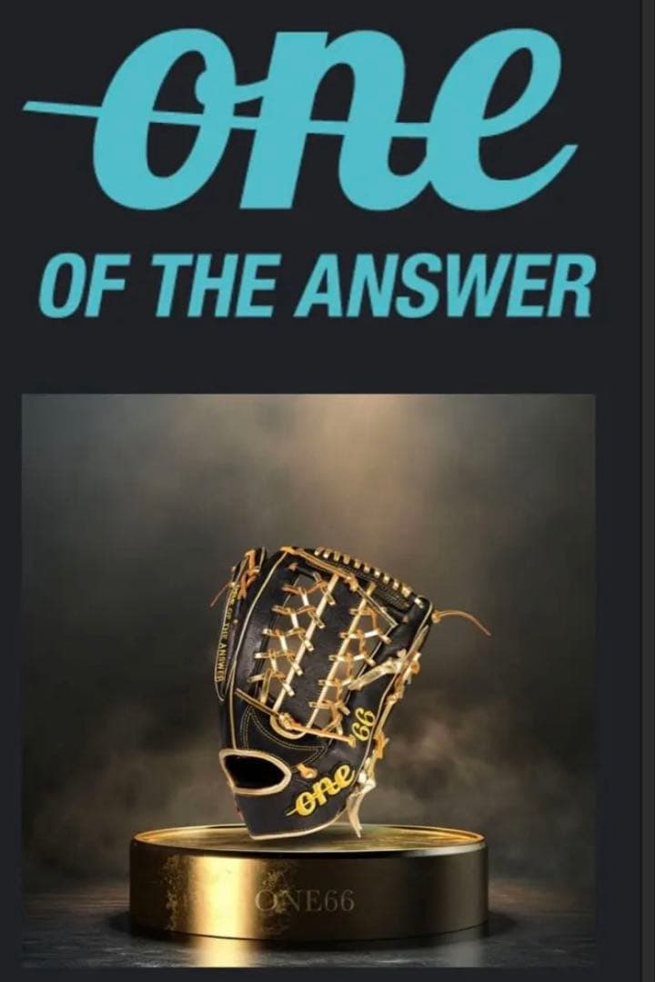 one of the answer 限定　プロ支給品　万波中正　外野用