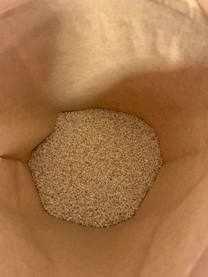 令和7年度産　ヒノヒカリ20kg(玄米) 減農薬　農家のお米