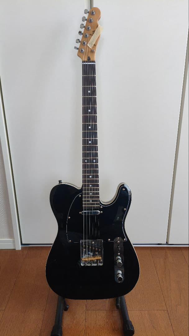 テレキャスター　布袋寅泰　バンビーナ　ダブルバインディング　ノーブランド