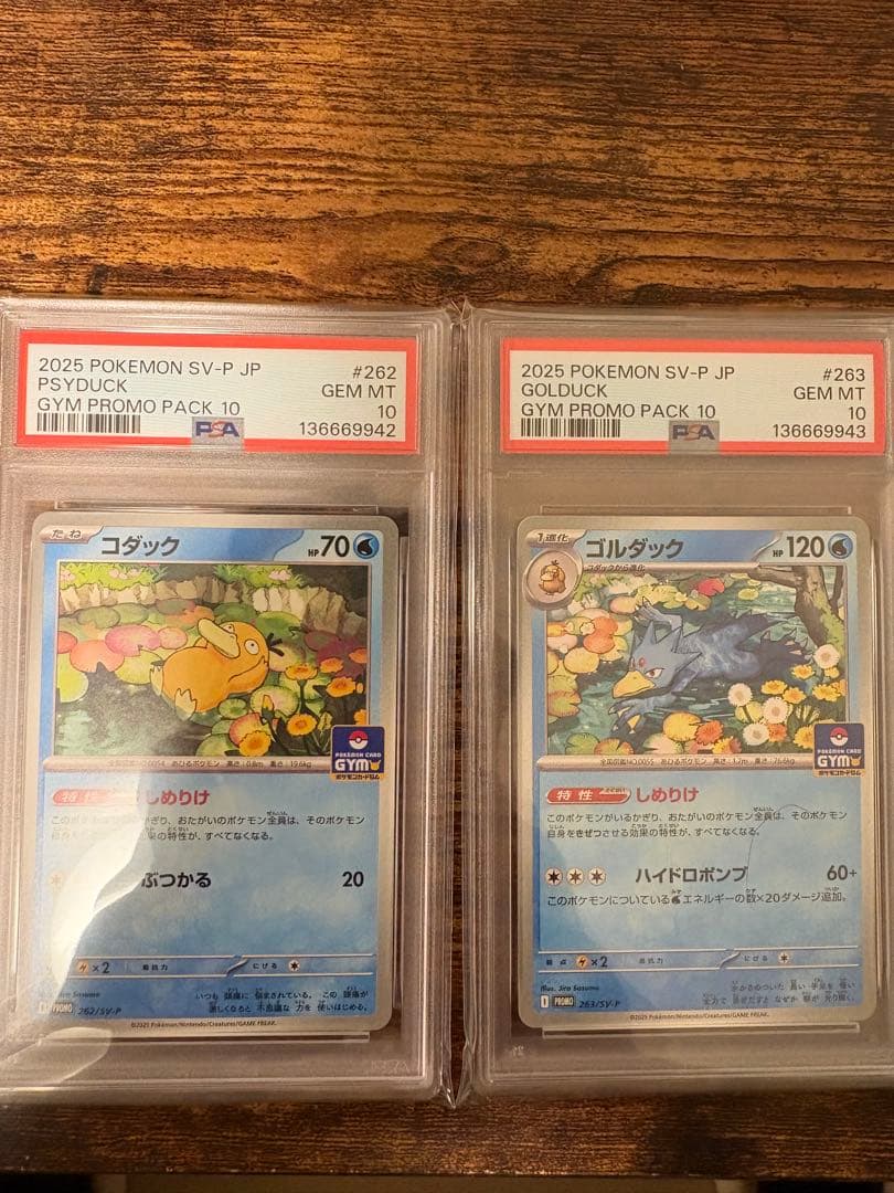 【psa10】ジムプロモ　コダック ゴルダック連番 しめりけ 262/SV-P