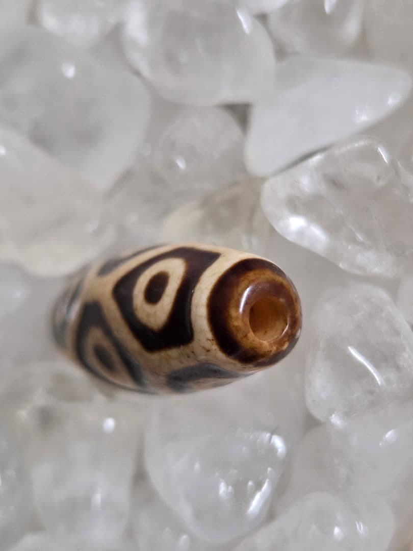 908　天珠　上肯　亀甲長壽九眼天珠　dzibeads！